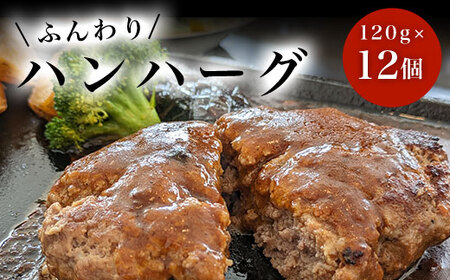 nn[O@120g×12@SHAF006