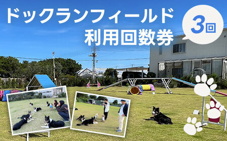 hbNtB[hp񐔌i3j ӂ邳Ɣ[ hbOX|[c p `Pbg  Ck t q  SHAI006