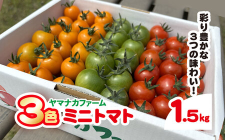 3色ミニトマト 1.5kg