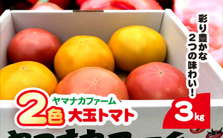 赤金2色(大玉)トマト
