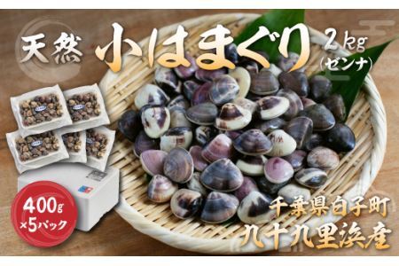 ͂܂i[ij2kgi400g×5pbNj SHF008