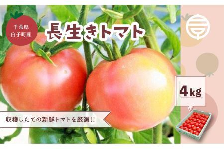 [数量限定/2月発送]千葉県長生トマト4kg