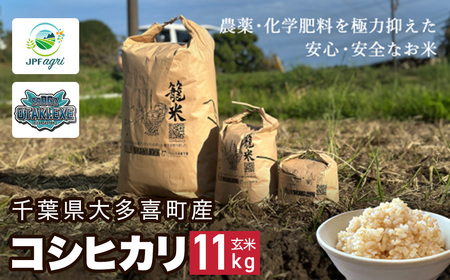 J03202yVāzߘaVNY RVqJ 11kg /   R  Ђ RVqJ ĕ oXPbg{[ esDGs OTAKI.EXE 命쒬 t