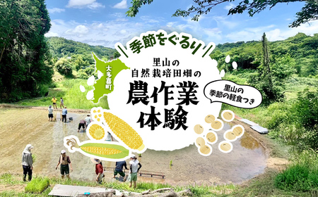 季節をぐるり 里山の無農薬•無肥料栽培田畑の農作業体験 里山の季節の軽食つき ふるさと納税 農作業 農作物 体験 田んぼ 自然 自然体験 年3回 千葉県 大多喜町