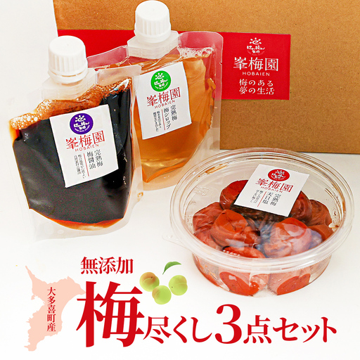 大多喜町産 無添加梅尽くし3点セット