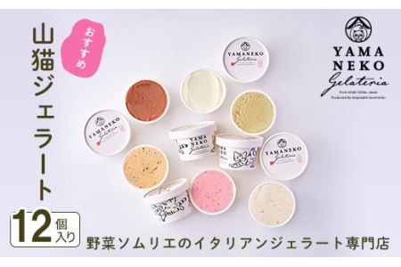 W02401 ؃\G̃C^AWF[gXRLWF[g߂PQZbg