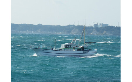 E701 ނDD(11,000~)
