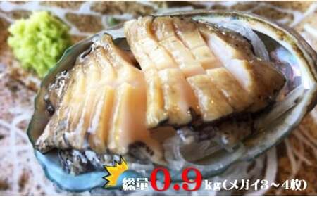 活アワビA