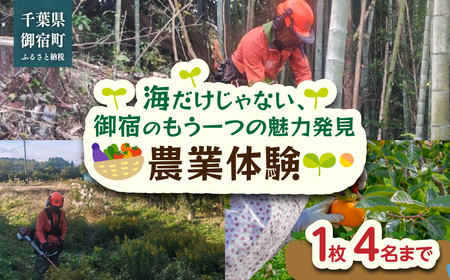 農業体験(海だけじゃない、御宿のもう一つの魅力発見) ON