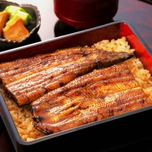 [丸の内舞's][ランチ]鰻のお重(上) 2名様(ぐるなびセレクション)