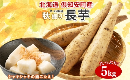 北海道 倶知安町産 長芋 2L×約6本 計5kg 秋堀り 芋 ながいも とろろ 新鮮 フレッシュ 野菜 農作物 産直 山芋 麦とろ 山かけ おつまみ グリーンアースファーム 送料無料 北海道 倶知安町 新鮮野菜