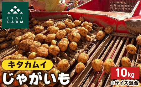 kC m Ⴊ L^JC 10kg Xgt@[ TCY  n鏒  |eg C Yn 