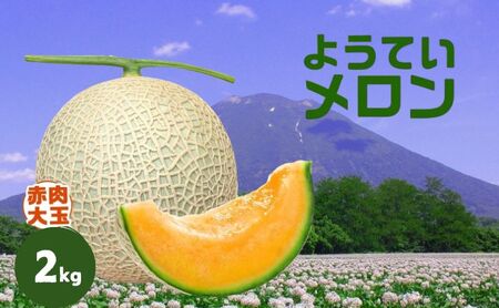 [ 2025年発送 ]先行予約 北海道 赤肉メロン 大玉 約2kg 1玉 メロン 赤肉 果物 フルーツ 甘い 完熟 スイーツ デザート 産直 国産 贈答品 お祝いギフト羊蹄山 JAようてい