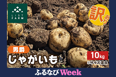 [ふるなびWEEK対象][ 訳アリ ] 馬鈴薯 約 10kg 男爵 リストファーム サイズ 混合 馬鈴薯 芋 ポテト イモ 産地直送 野菜 FN-Limited