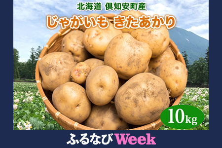[ふるなびWEEK対象]北海道産 じゃがいも きたあかり 約10kg 芋 ジャガイモ いも 自然 旬 新鮮 野菜 直送 常温 農作物 お取り寄せ 野菜 ポテト 農作物 お取り寄せ 送料無料 縁樹 北海道 倶知安町 根菜 FN-Limited