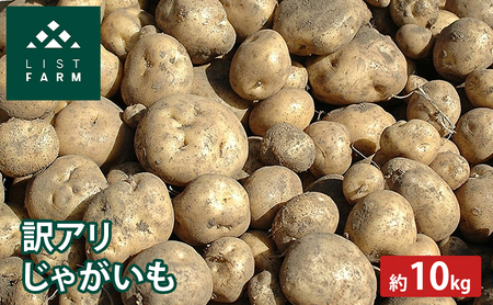 [ 訳アリ ] じゃがいも 約 10kg 男爵 or キタカムイ リストファーム サイズ 混合 馬鈴薯 芋 ポテト イモ 産地直送 野菜