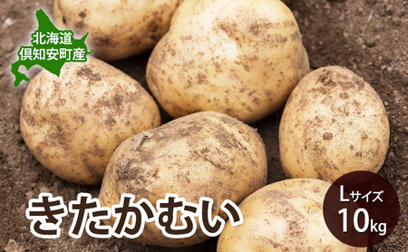 北海道 倶知安 産 じゃがいも きたかむい L サイズ 10kg 馬鈴薯 いも 芋 グリーンアースファーム 農家 直送 野菜 産地直送