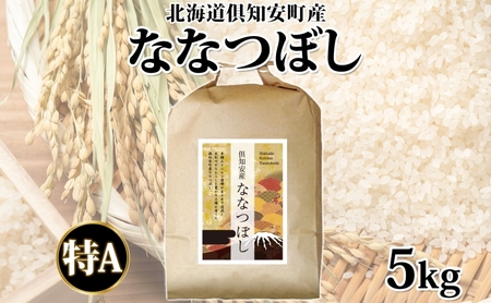 [2026年2月出荷]北海道 倶知安町産 ななつぼし 精米 5kg 米 特A 白米 お米 道産米 ブランド米 契約農家 ごはん 炊き立て ご飯 もちもち 国産 人気 お取り寄せ ギフト 贈り物 備蓄 保存 おまとめ買い ショクレン 送料無料