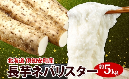 [ 2026年 出荷 ] 北海道 倶知安町産 ネバリスター 計5kg 北海道産 芋 ながいも 長芋 とろろ 新鮮 フレッシュ 野菜 農作物 産直 山芋 大和芋 イチョウ芋 麦とろ 山かけ おつまみ グリーンアースファーム