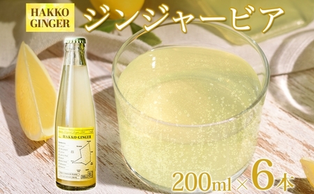 北海道 自家製 ジンジャービア 200ml×6本 HAKKO GINGER 発酵 ジンジャー ビール 生姜 レモン 辛口 ノンアルコール 炭酸 ヘルシー