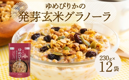 kCY ߂҂肩 茺 Om[ 230g×12  VA  pt 唞 I[c t[c H   wV[ H@ 悤Ă_Ƌg zN  k