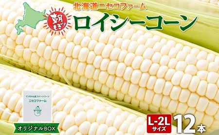 [ 2025年 先行予約 ] 北海道産 とうもろこし 計12本 L-2L サイズ混合 ロイシーコーン 大きめ 旬 朝採り 新鮮 トウモロコシ 甘い 夏野菜 とうきび お取り寄せ 産地直送 野菜 しりべしや 送料無料