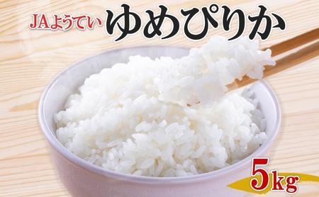 北海道産 ゆめぴりか 精米 5kg お米 米 白米 ブランド米 ご飯 ごはん おにぎり 主食 産直 贈り物 ギフト備蓄 JAようてい 送料無料 北海道 倶知安町