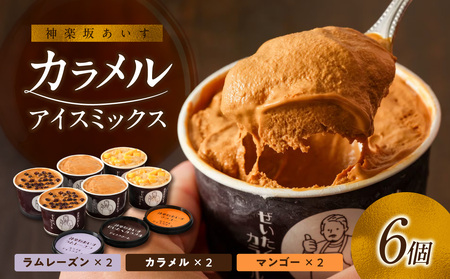 [神楽坂あいす]カラメルアイスミックス(6個セット) 0158-002-S07
