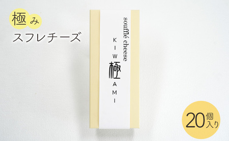 `[YP[L ɂ݃Xt`[Y@20 P[L XC[c mَq َq fU[g  Zbg TCY yY  HiE