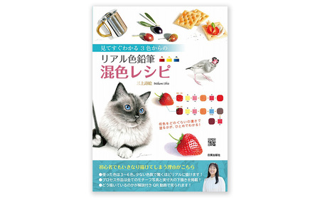リアル色鉛筆混色レシピ 日貿出版社 書籍 本 色塗り レッスン本 混色