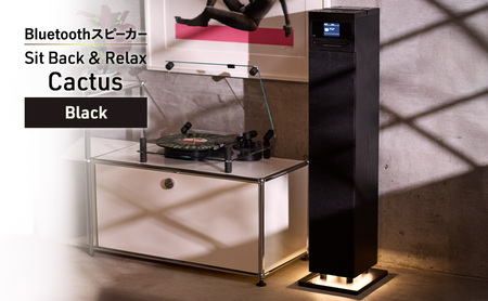 Sit Back & Relax Cactus Black CD機能付きタワー型Bluetoothスピーカー オーディオ Bluetooth 東京都 文京区