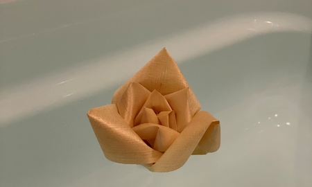 ����ȃt�����[�A�[�g�w���܂̃o�X�^�C���x