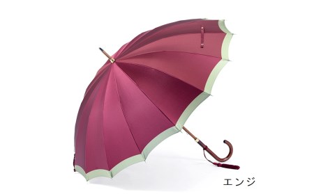 [前原光榮商店]婦人用雨傘 ボーダー-W-カーボン[手元:ヒッコリー]名入れ可(カラー:エンジ)