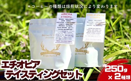 エチオピア テイスティングセット 250g × 2種類 ドリンク コーヒー スペシャルティコーヒー 豆