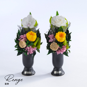 蓮華 (れんげ) 花 お花 プリザーブドフラワー ギフト プレゼント お祝い 誕生日 お供え アレンジ インテリア 東京都 墨田区 胡蝶蘭/一対