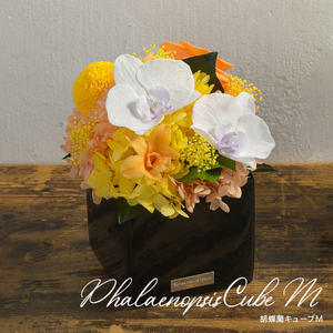 胡蝶蘭キューブM 花 お花 プリザーブドフラワー ギフト プレゼント お祝い 誕生日 お供え アレンジ インテリア 東京都 墨田区 イエロ×オレンジ