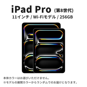 【数量限定】Apple iPad Pro 11インチ 2025年発売 第8世代 256GB Wi-Fiモデル