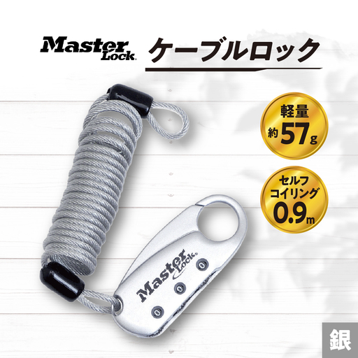 ケーブルロック 1559JADSLV (銀) ナンバー可変式 防犯 防災 Master Lock