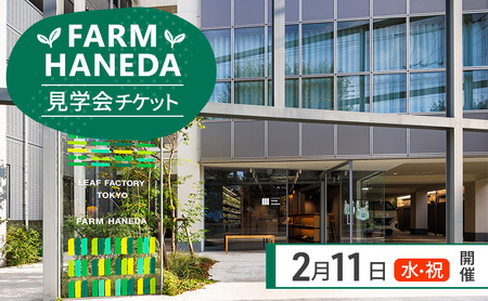 チケット 東京 [2/11(水・祝)開催]FARM HANEDA見学会チケット 見学 収穫 体験 体験チケット 植物工場 野菜 栽培 レタス ラディッシュ サラダホウレンソウ 大田区 東京都