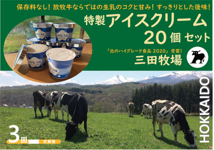 【3ヵ月定期便】アイス 三田牧場 特製 アイスクリーム 20個 セット ミルク チョコレート いちごミルク ラムレーズン 抹茶 お菓子 デザート 新鮮 生乳 練乳 生クリーム 