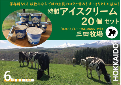 【6ヵ月定期便】アイス 三田牧場 特製 アイスクリーム 20個 セット ミルク チョコレート いちごミルク ラムレーズン 抹茶 お菓子 デザート 新鮮 生乳 練乳 生クリーム 
