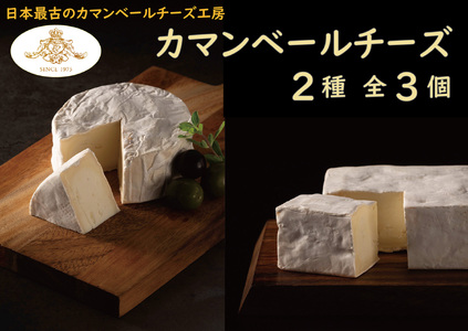 カマンベールチーズ 2種 セット クレイル特製 カマンベール チーズ 乳製品 食べ比べ
