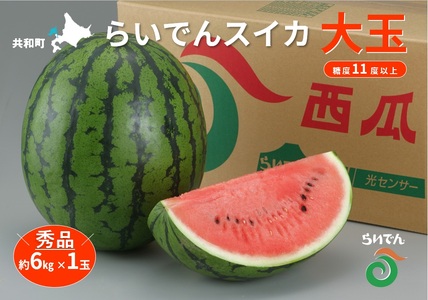 2025年 7月 出荷 先行予約 スイカ 北海道 共和町産 らいでんスイカ 大玉 約6kg フルーツ 果物 産地直送 JAきょうわ すいか 果実