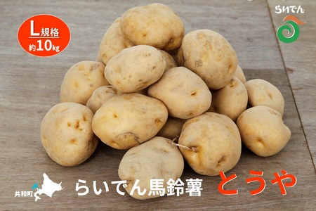 2025年 8月 出荷 先行予約 らいでん 馬鈴薯 とうや L 規格 約10kg じゃがいも イモ 芋 ポテト 北海道 共和町 産地直送 JAきょうわ 野菜
