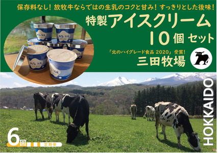 【6ヵ月定期便】アイス 三田牧場 特製 アイスクリーム 10個 セット ミルク チョコレート いちごミルク ラムレーズン 抹茶 お菓子 デザート 新鮮 生乳 練乳 生クリーム 