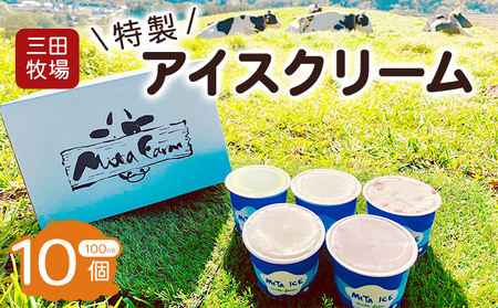 アイス 三田牧場 特製 アイスクリーム 10個 セット ミルク バニラ いちごミルク ラムレーズン 抹茶 お菓子