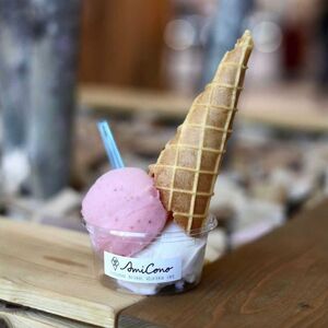 季節の天然素材ジェラート[AmiCono JIYUGAOKA]お買い物に使える3,000円分チケット(ふるさとチケット) アイス デザート 氷菓子 スイーツ お菓子 お買物券 アミコーノ 東京 世田谷_0097-002-se7