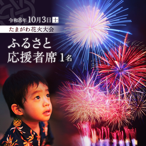 [令和8年10月3日開催]第48回 世田谷区たまがわ花火大会 ふるさと応援者席 招待券[1名様分・イス席]花火 思い出 体験 鑑賞 東京 世田谷_0084-003-se8