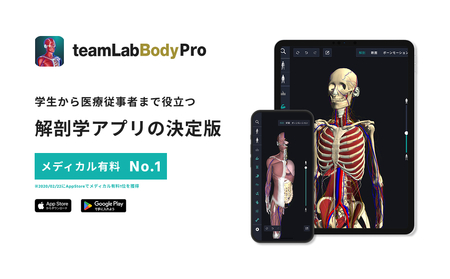 teamLabBody Pro Premiumプラン 1年分[215001]