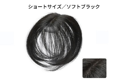 ヘアメイト チャチャ ショートソフトブラック[ワンポイントウィッグ] チャチャテープ1本・専用コーム付き[244001-1]